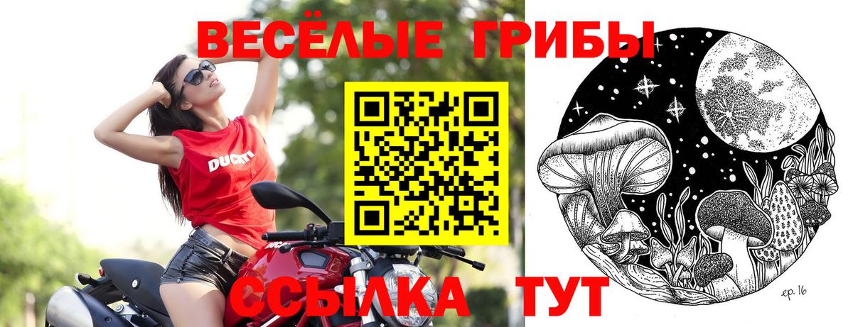 Луга  Галлюциногенные грибы Cubensis  Псилоцибиновые грибы мицелий  Вход с VPN 